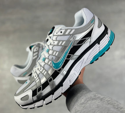 P-6000 Dusty cactus