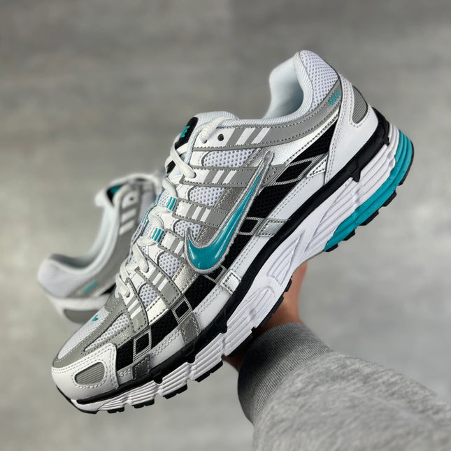 P-6000 Dusty cactus