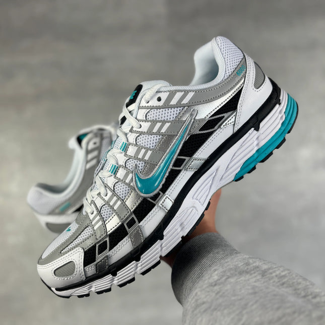 P-6000 Dusty cactus